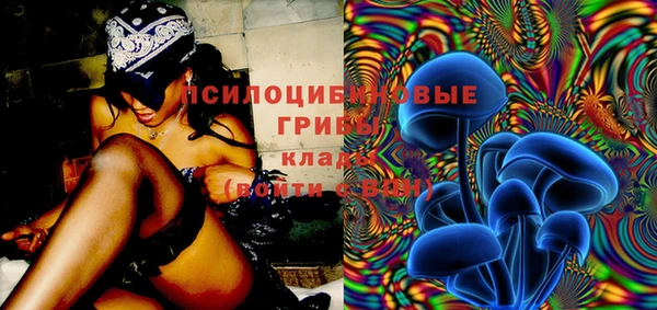 спиды Нефтегорск