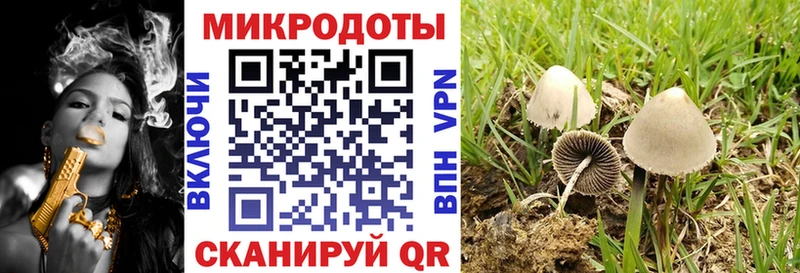 Купить где  Хвалынск  Псилоцибиновые грибы Magic Shrooms 