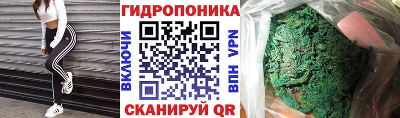 Бошки марихуана марихуана  Купить закладки  Хвалынск 